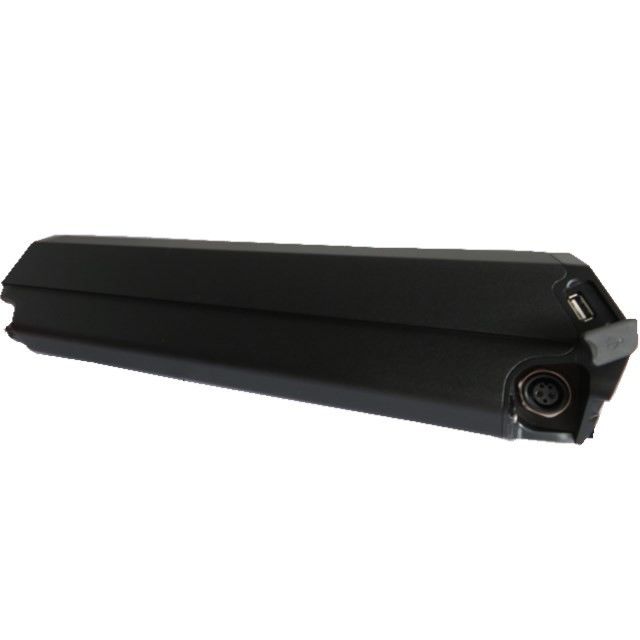 Batterie de vélo électrique 36V 36 volts 10ah 40pcs cellules e bike reention dorado batterie ID-MINI