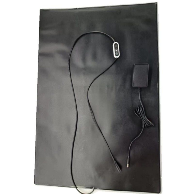 Mat chauffant en PVC pour animaux de compagnie 12V Plateau chauffant 60x40cm Avec régulateur de température Pour chien chat