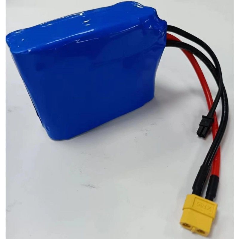 Batterie personnalisée 5S2P 18650 Batterie au lithium 18.5V 5200mAh 5 pièces en série avec BMS