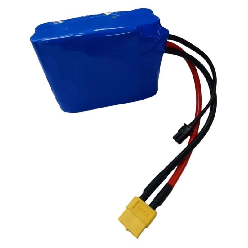 Batterie personnalisée 5S2P 18650 Batterie au lithium 18.5V 5200mAh 5 pièces en série avec BMS