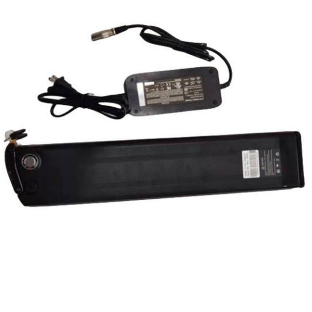 Batterie au lithium de poisson argenté 48V 25Ah Longueur 630mm avec chargeur Pour vélo électrique