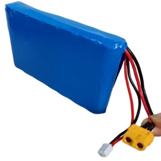 Batterie personnalisée 7s1p 18650 24V 3500mAh pour moteur 350W avec prise Xt60